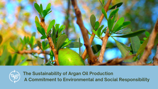 The Sustainability of Argan Oil Production: A Commitment to Environmental and Social Responsibility